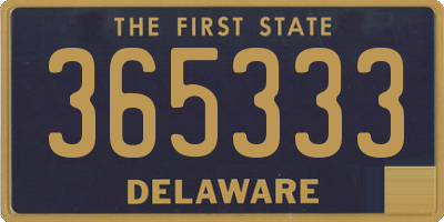 DE license plate 365333