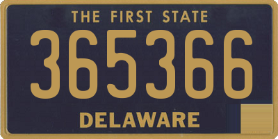 DE license plate 365366