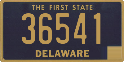 DE license plate 36541