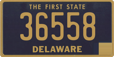 DE license plate 36558