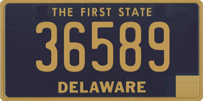 DE license plate 36589