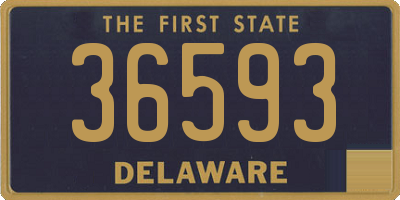 DE license plate 36593