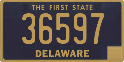 DE license plate 36597