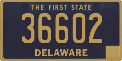 DE license plate 36602