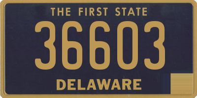 DE license plate 36603