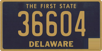 DE license plate 36604