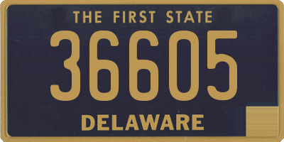 DE license plate 36605