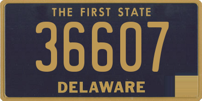 DE license plate 36607