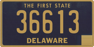 DE license plate 36613