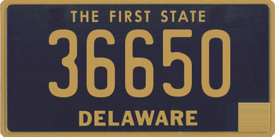 DE license plate 36650