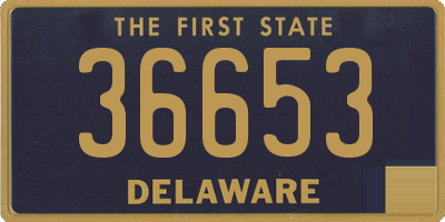 DE license plate 36653