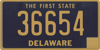 DE license plate 36654