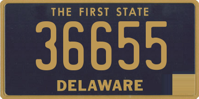 DE license plate 36655