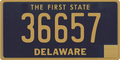 DE license plate 36657