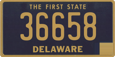 DE license plate 36658