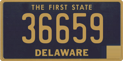 DE license plate 36659