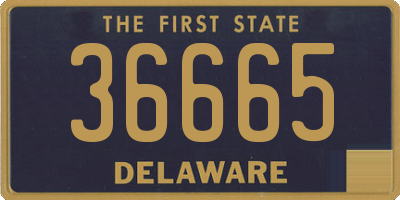 DE license plate 36665