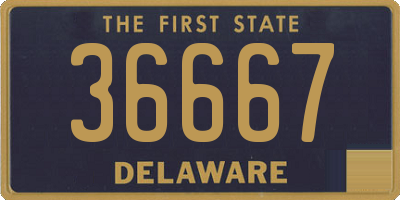 DE license plate 36667