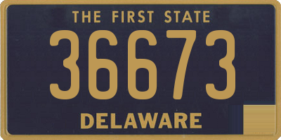 DE license plate 36673