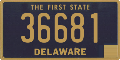 DE license plate 36681