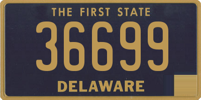 DE license plate 36699