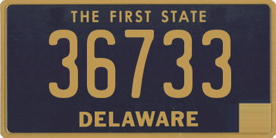 DE license plate 36733