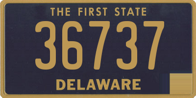 DE license plate 36737