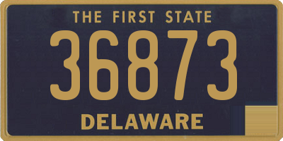 DE license plate 36873