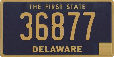 DE license plate 36877