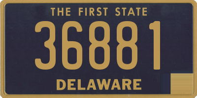DE license plate 36881