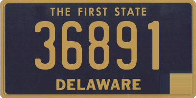DE license plate 36891
