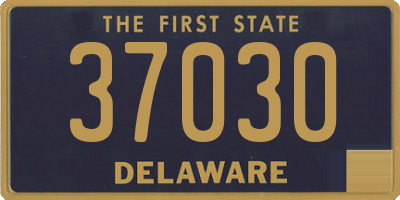 DE license plate 37030