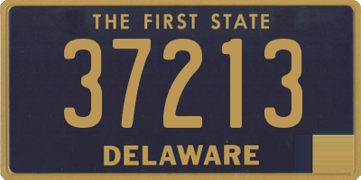 DE license plate 37213