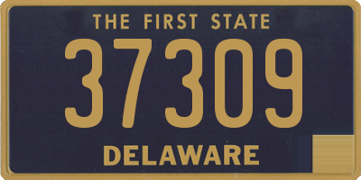 DE license plate 37309
