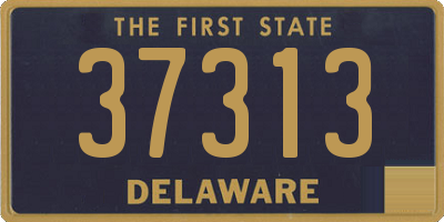 DE license plate 37313