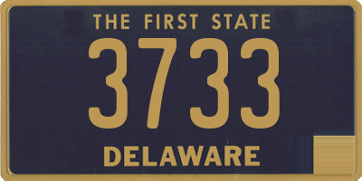 DE license plate 3733