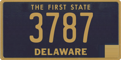 DE license plate 3787