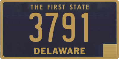 DE license plate 3791