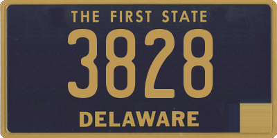 DE license plate 3828