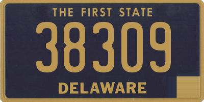 DE license plate 38309