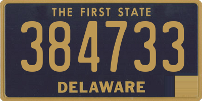 DE license plate 384733