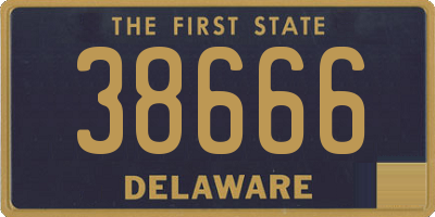 DE license plate 38666