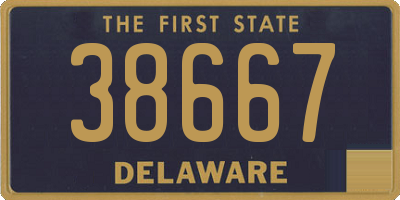 DE license plate 38667