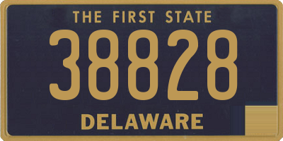 DE license plate 38828