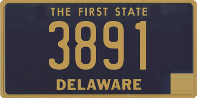 DE license plate 3891