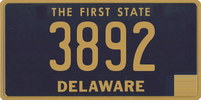 DE license plate 3892