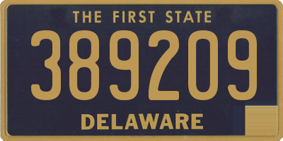 DE license plate 389209