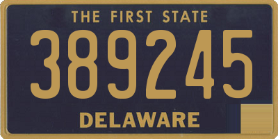 DE license plate 389245