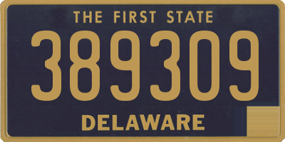 DE license plate 389309