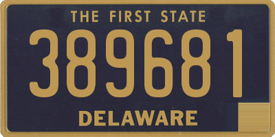 DE license plate 389681